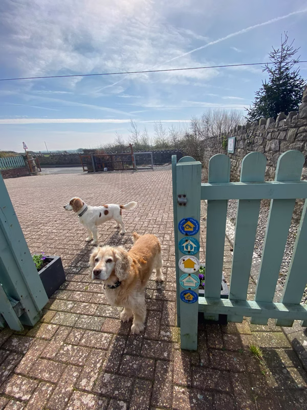 Sea Dream Lodge — teal entrance gate